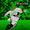 rivermonster0831