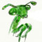 Mantis-nk