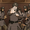 townguy92