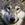WolfBoy2840