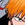 animefan13