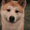 Macchi