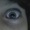 Zavier777
