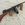 TommyGun45ACP