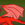 DragonPrince1337