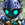 tigerclaw25