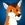 DavidBuizel