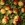 anyapple