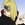 AnimeFan002