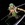 Rornora-Zoro