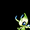LittleMissPokemon101