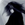 Dark-and-Dawn