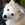 xSLYxHUSKYx