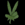 303antix