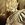 Pandorum
