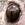 nooby437