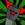 trickytheclown123