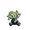 Purpleoddish