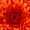 EerinE