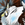 CreativePaw