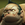 DragonDogma