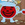 TeamKoolaid