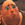adcpeda