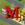 magnatemba