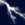 LIghtningStorm272