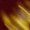 hypershadic1234