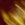 hypershadic1234