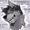 BadWolfy