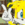 Fuse-the-elctro-fox