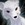 Kitsune396