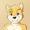 JetDingo