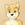 JetDingo