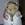 DoctorHamster