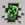 DiamondHunter