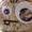 mypetrocksteve