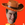 SirRob