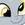 Nyanfurry88