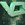 allVGmaster