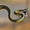 wardpipe