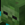 joeyzee2