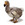 Dodo02