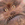 thingupstairs