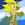 MarioandSonic12W