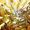 twinarmageddon22