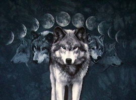 beowolf666