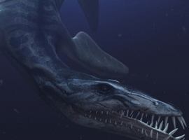 Liopleurodon